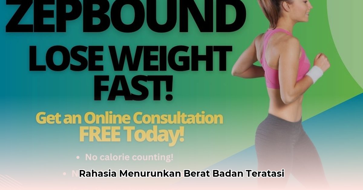 weight loss doctors in st petersburg fl